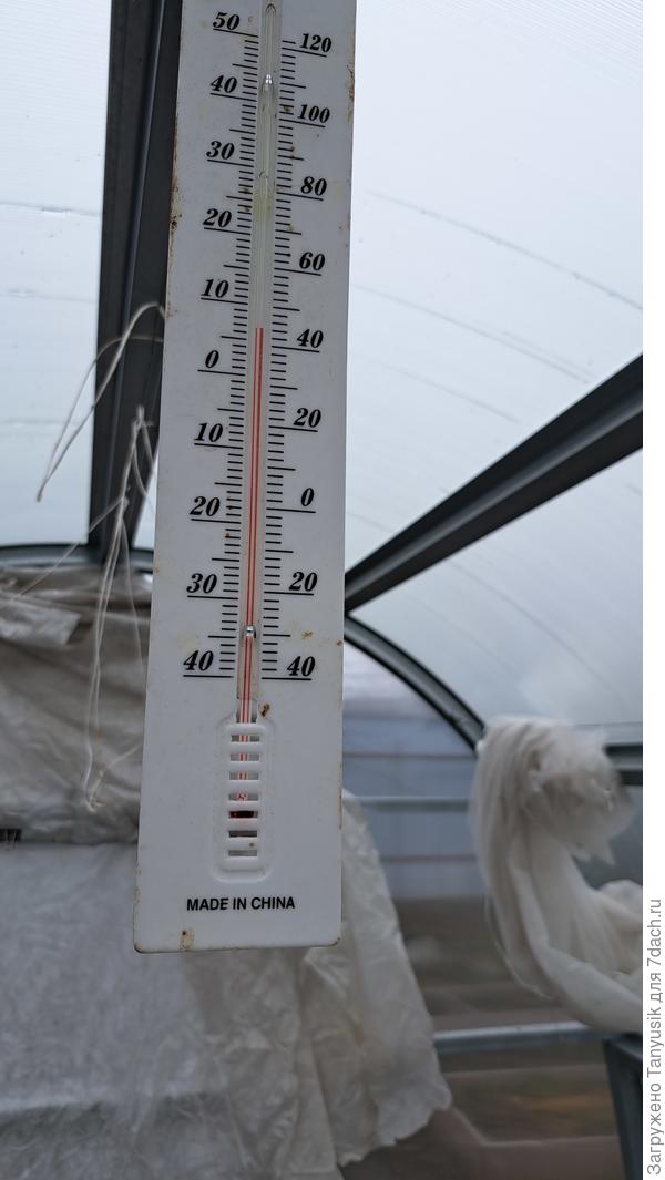 Воздух в теплице прогрелася до +7