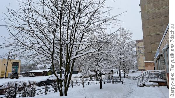 А ведь был уже зеленый газончик...