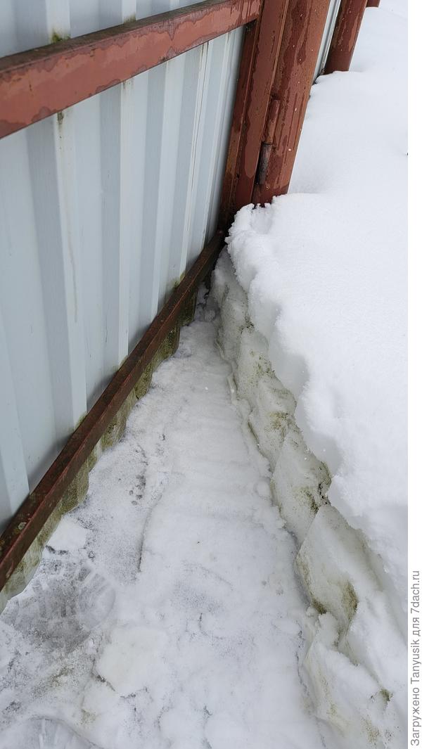 Вот такой слой снега сдвинулся калиткой. А снеговой лопаты рядом не оказалось. Муж уже убрал ее чердак сарая. Обычно она стояла здесь, у калитки, чтобы войти и сразу путь к дому расчищать.