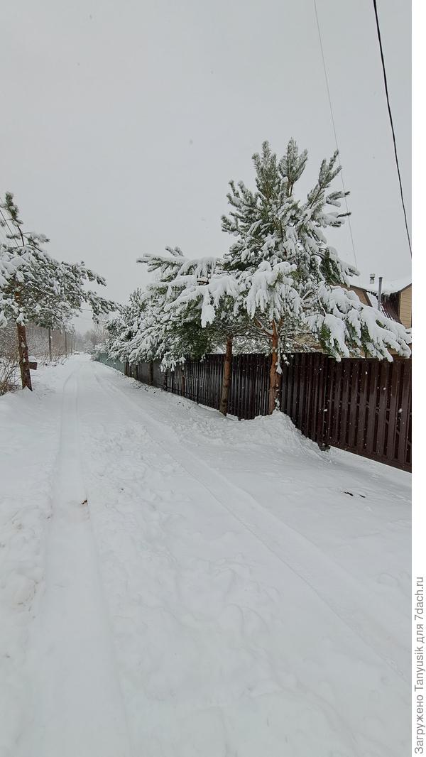 Наша улица в садоводстве