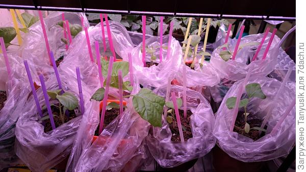 Полет нормальный!