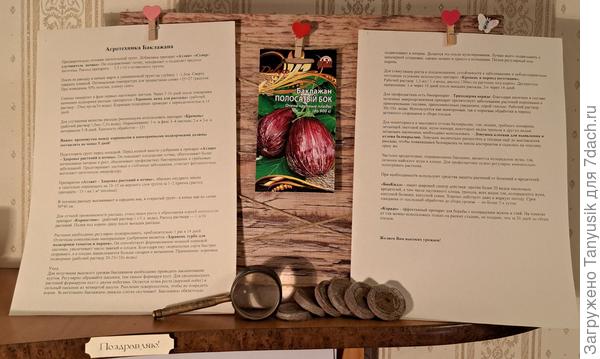 Тестирование семян от компании "Ваше хозяйство"- 2023 открывает баклажан "Полосатый бок"!