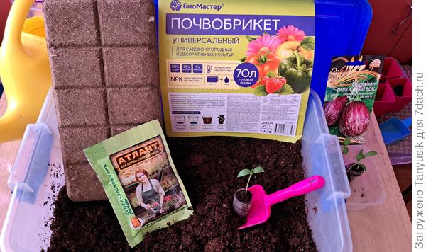 Подготовка грунта для рассады.