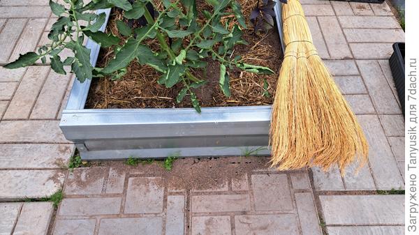 Вот такое хулиганство каждый день