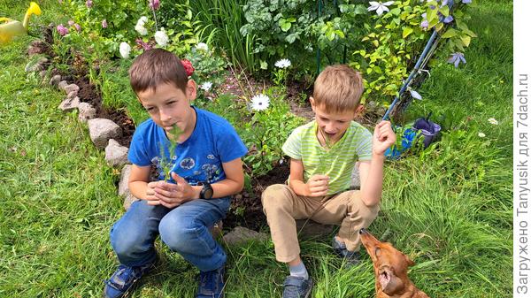 И детям - тоже!