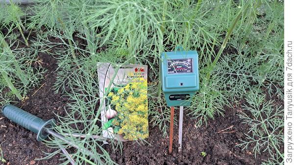 Определение рН почвы. Кислотность нормальная. Для укропа подходит!