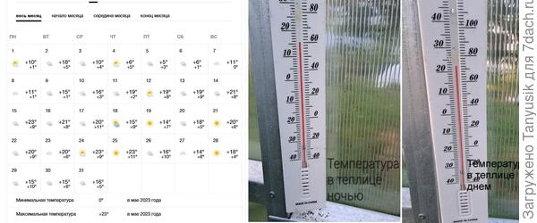 Измерение температуры на улице и в теплице в мае.