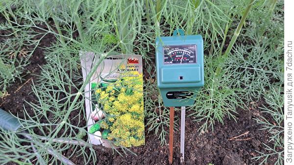 Влажность почвы 70%.