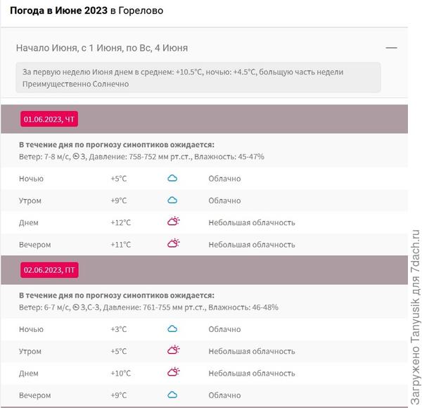 А на даче в Горелово всё же заморозки случились.