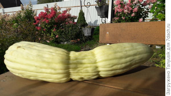 Перетяжечки, это потому, что он попал в перекрытие. А второй ровненький был.