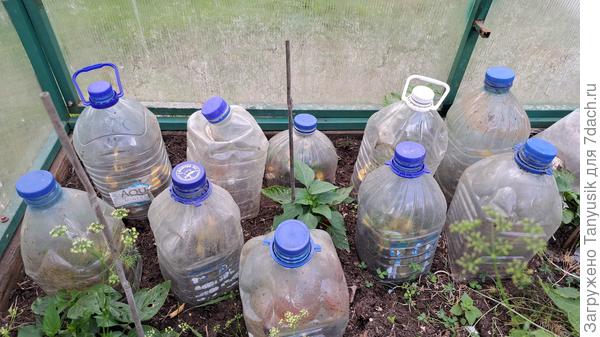 Это в другом парничке