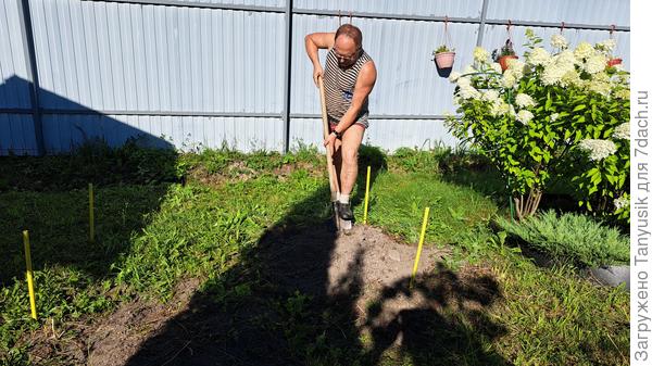 Сначала перекапываем. Потом вынимаем верхний слой почвы
