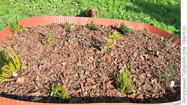 Готово! Принимайте работу!