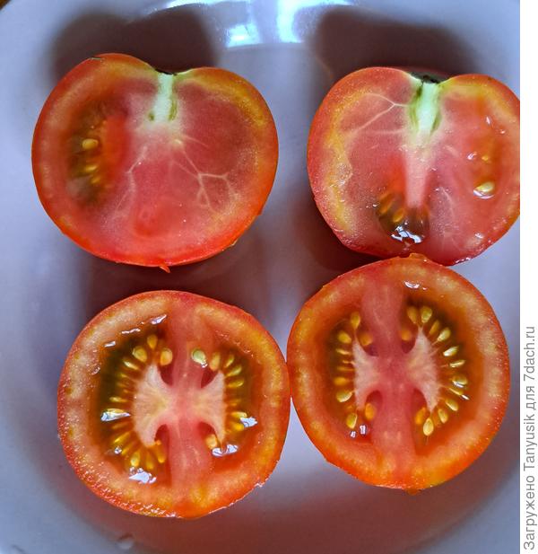 Китайка медовая в разрезе