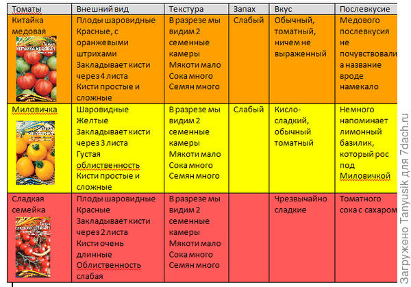 Органолептические свойства тестируемых томатов (субъективные показатели).