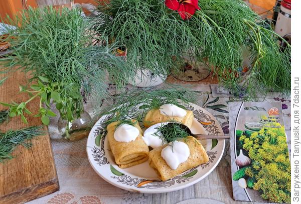 Блинчики с мясом, сметаной и укропчиком 'Аэронавт' никого не оставят равнодушными! Вы будете просить добавки укропа еще и еще