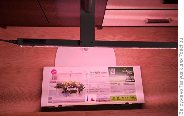 Это "Растущая". Подставка собралась очень легко. У лампы приятный, не раздражающий глаза свет. Ее можно закрепить на разной высоте.