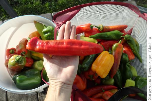 Сбор 2 сентября