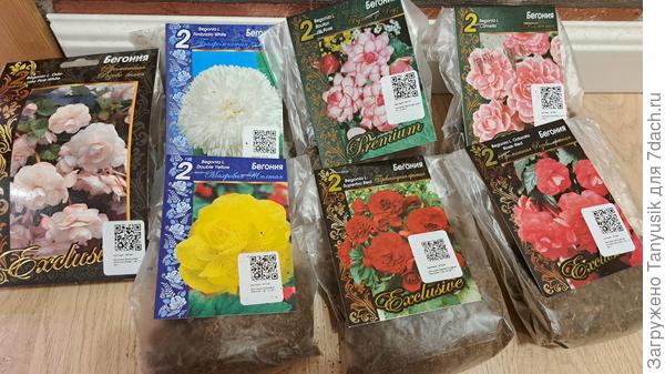 Мои любимые бегоши!