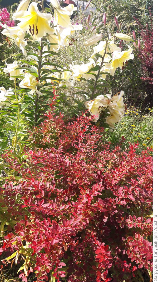 С этого ракурса совершенно другой эффект!