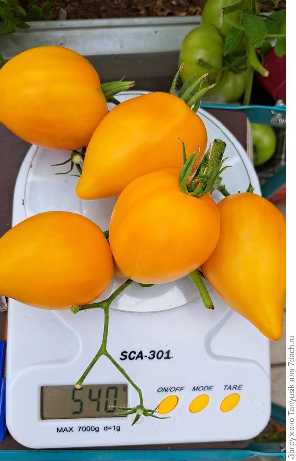 Взвешивание одной кисти