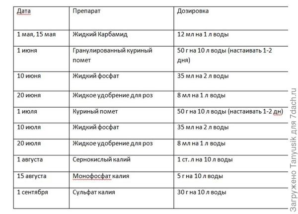 Примерный график подкормок моих роз. Удобрения из года в год могут меняться. Я предпочитаю жидкие и водорастворимые удобрения
