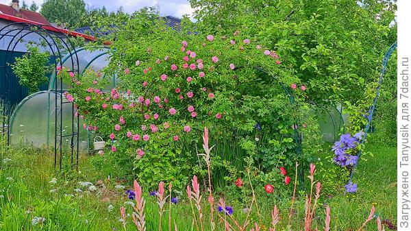 А с крыльца своего домика мы любуемся такой картиной