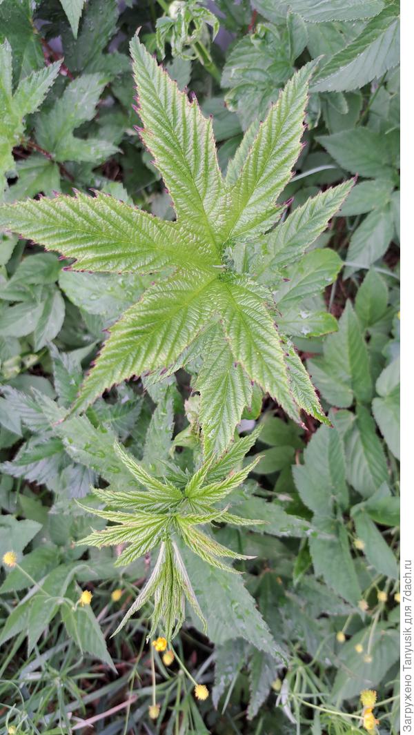 Сейчас сфоткала