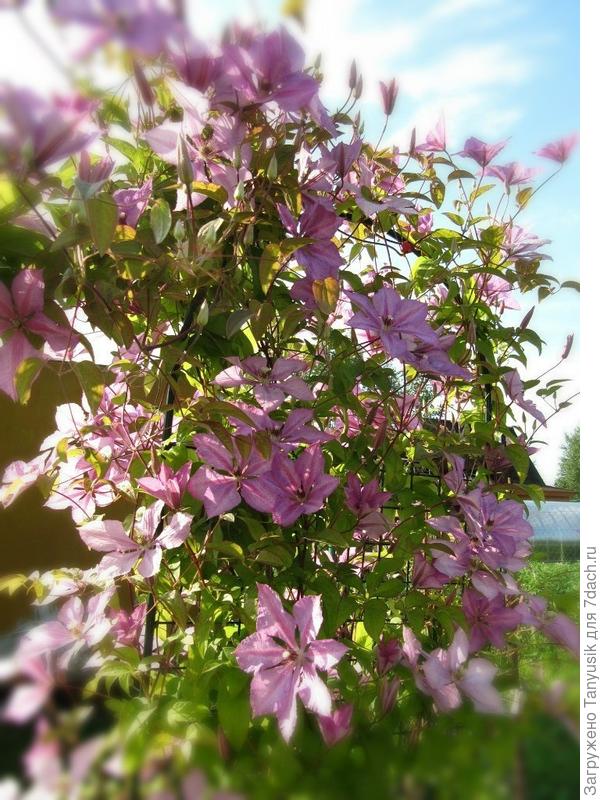 Вот такой был 10 лет назад