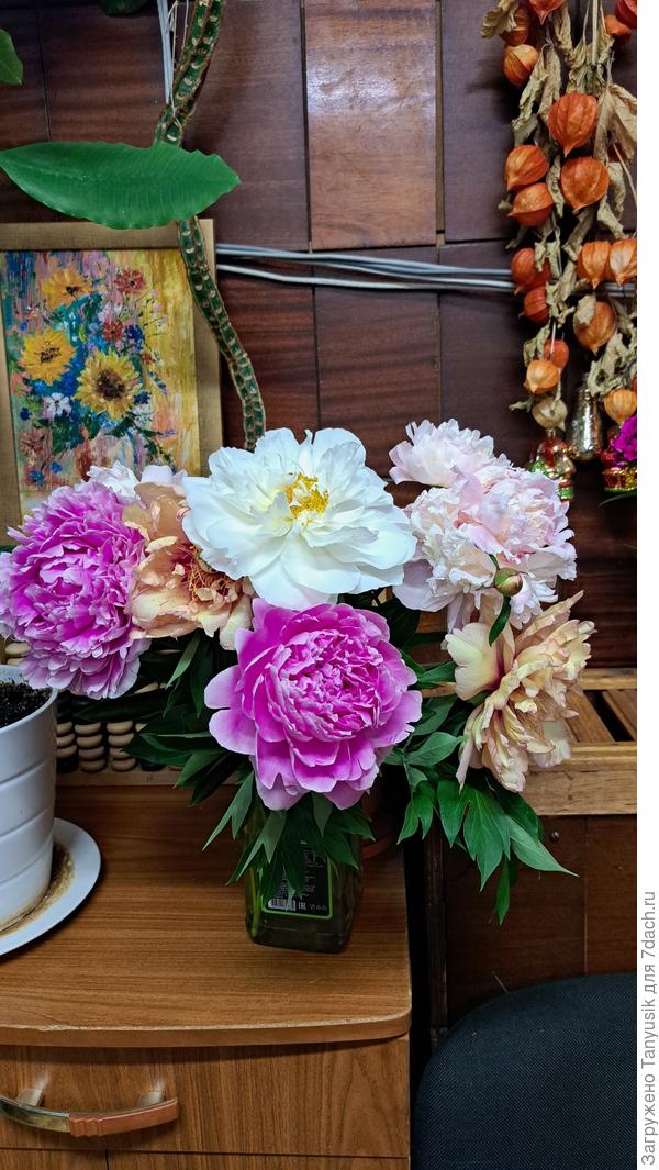 Это я на работу букетик принесла-))