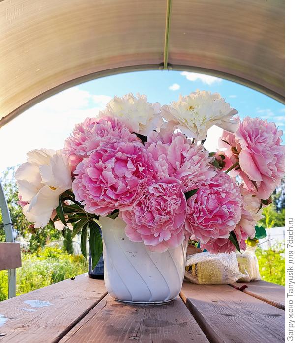 Потому что камешек внутри-))