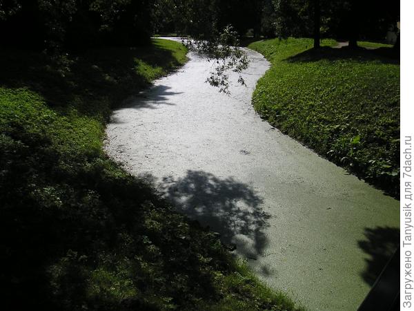 В пейзажном парке специально сделаны извилистые дорожки и загнутые берега каналов