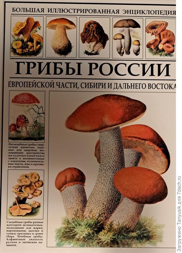 Моя любимая книга. Здесь описаны 1500 видов грибов. Каждый с цветной фотографией