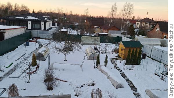 Все растения хорошо укрыты. На тропинках - лёд.