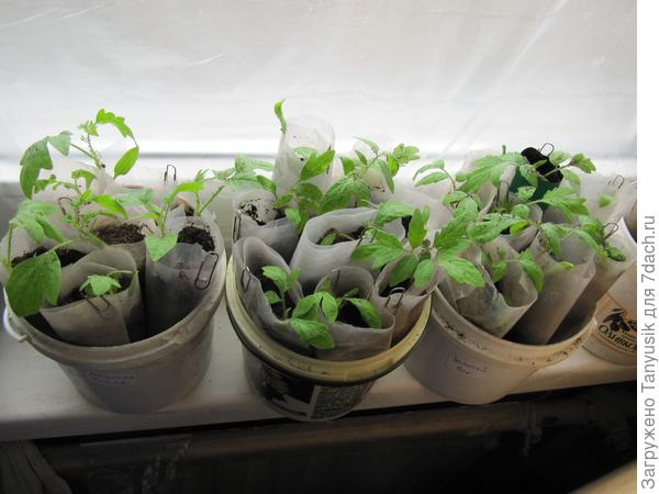 Вот так это было в 2012 г