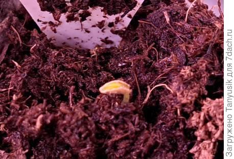 После операции