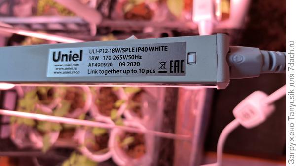 Вот такие лампы