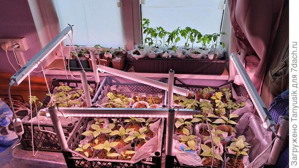 Тесновато нам