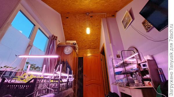 Подкрышное помещение