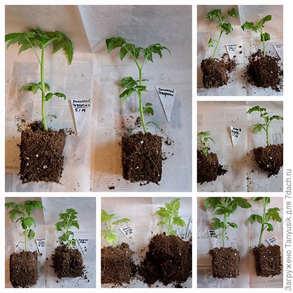 Сравнивание корней.