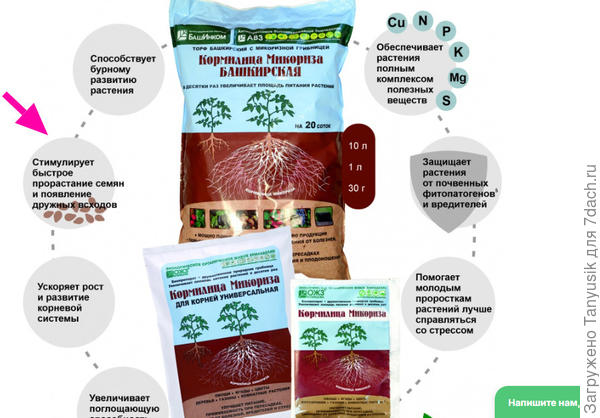 Проверяю утверждение, отмеченное красной стрелочкой