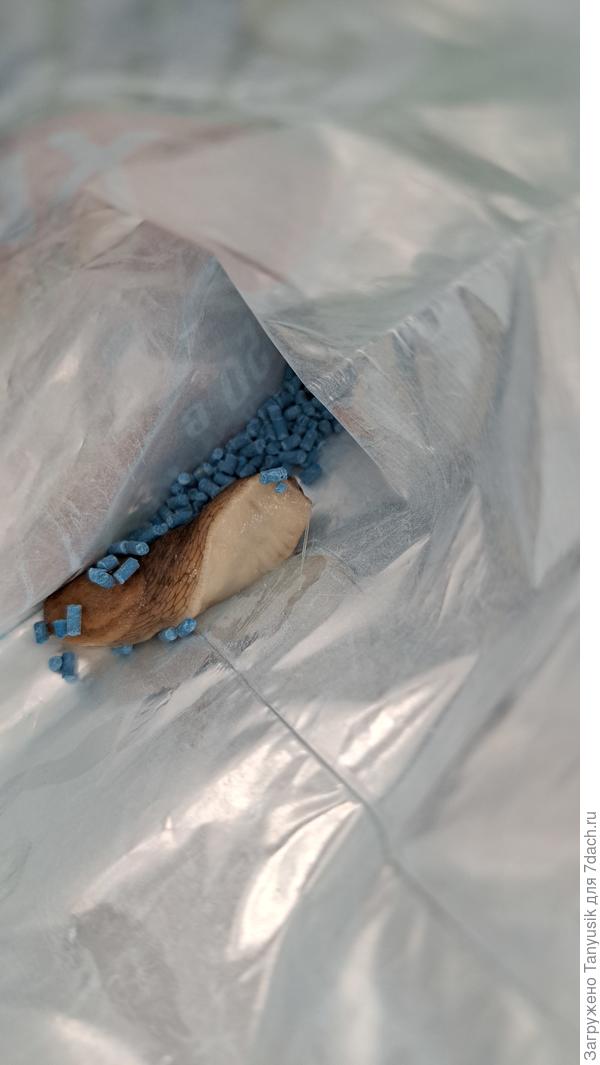 Всё! Он внутри. Надеюсь подохнет. Либо это средство ему по барабану.