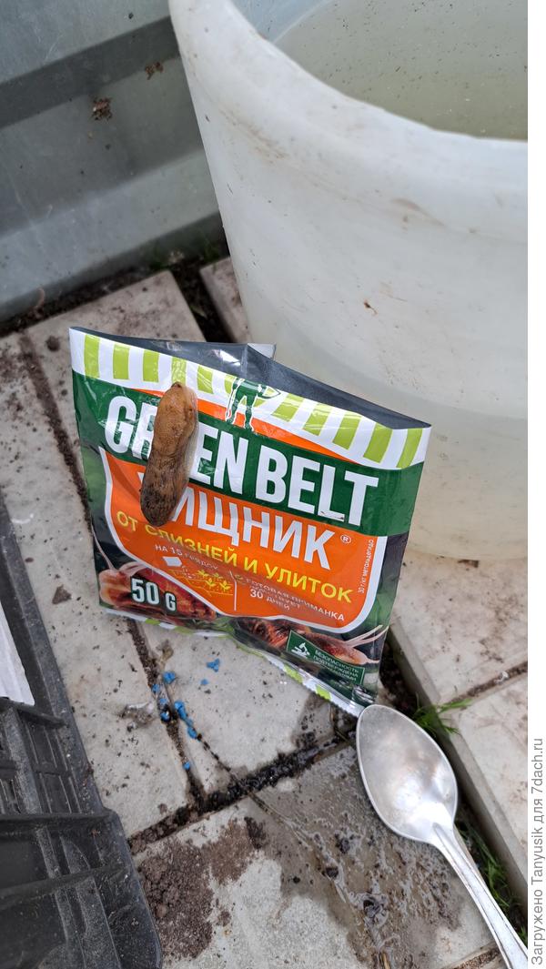 Пока печатала, он почти внутрь залез. Буквально за 2 минуты.