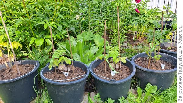 На улице пытаются выживать без укрытия