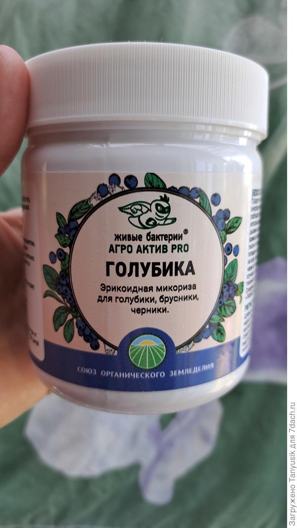 А микориза такая