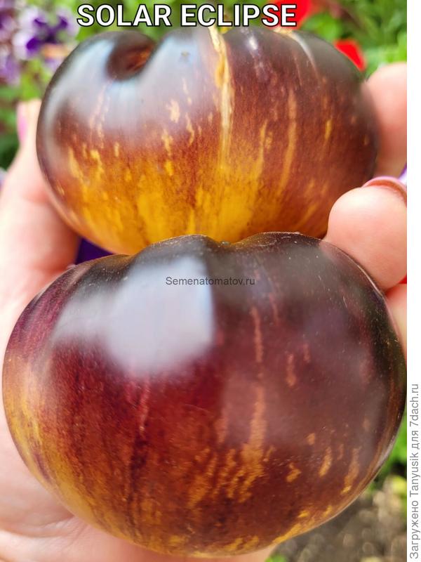 Такой должен быть