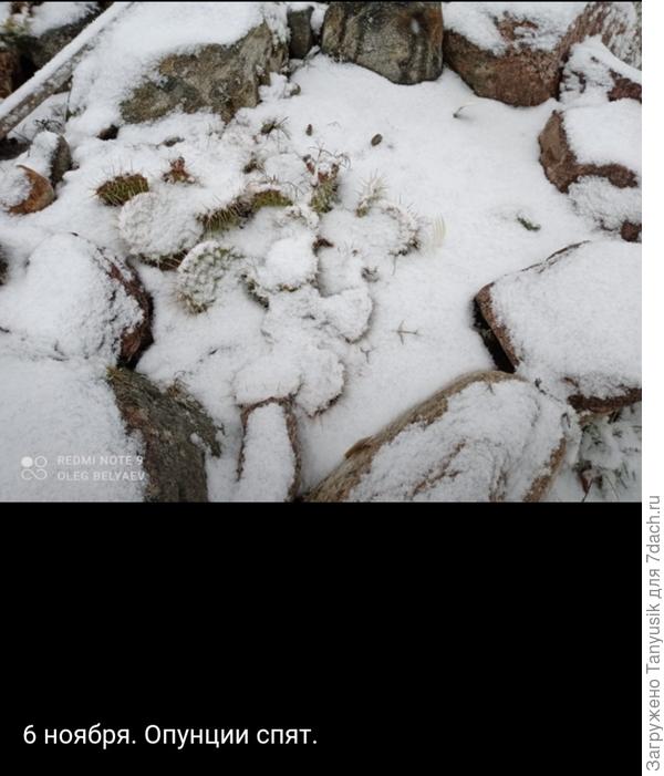 Фото Олега Беляева