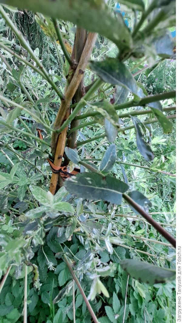 А внутри так