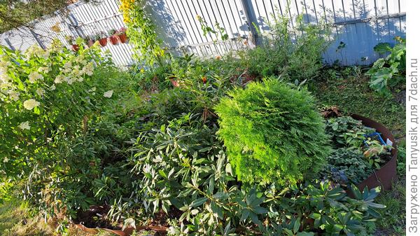 Участок с р-ми