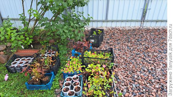 Это лишь малая часть того, что будет зимовать в &amp;quot;Кабачке&amp;quot;